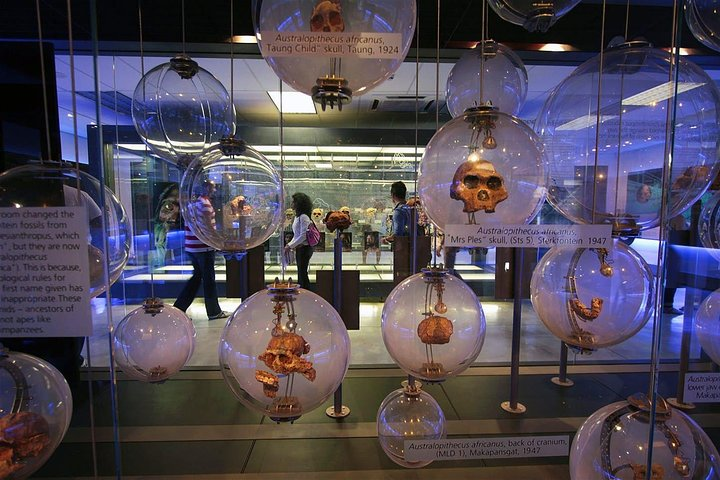 Cradle of Humankind Tour  - Photo 1 of 6